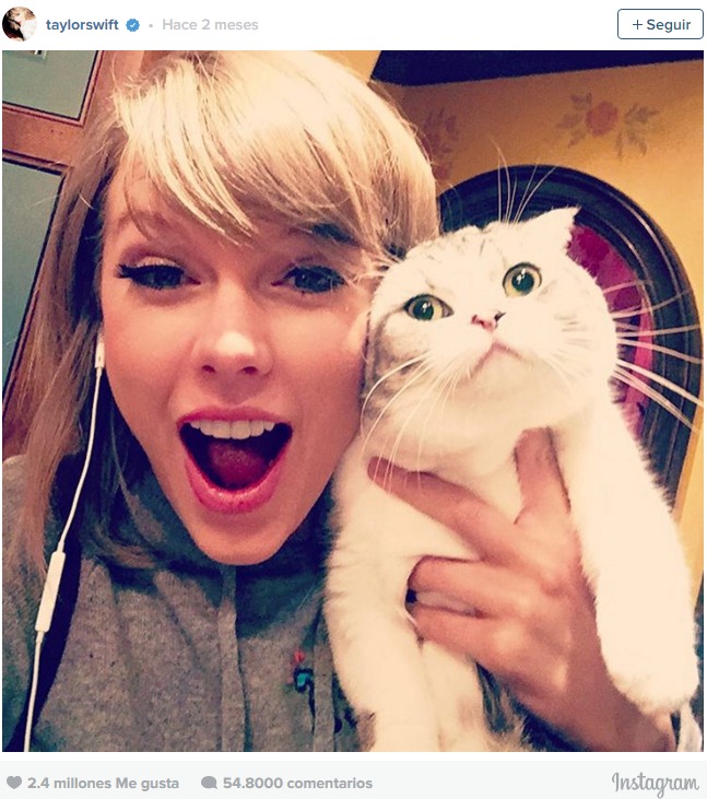 Taylor Swift Instagram